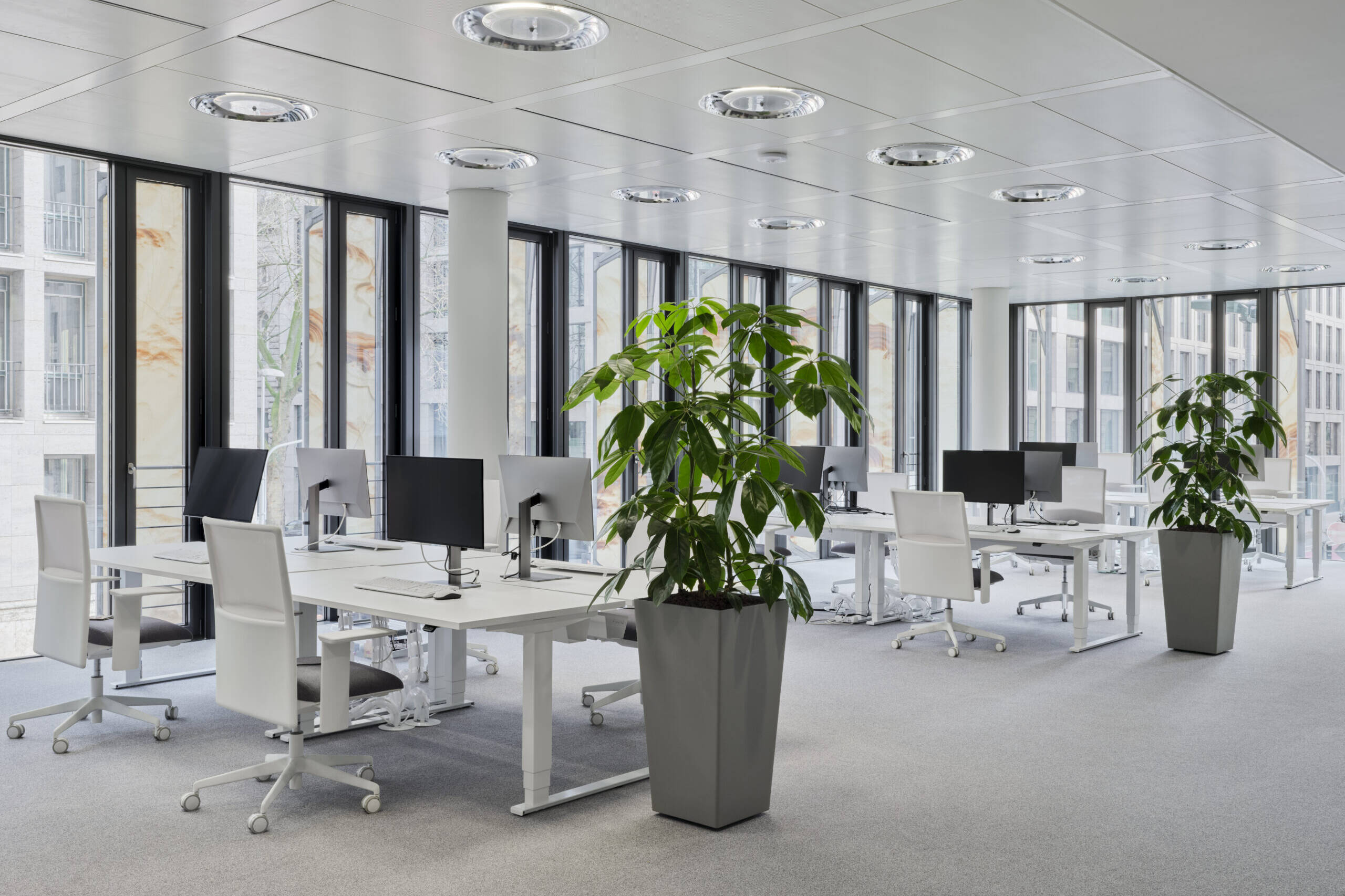 Büroetage mit Arbeitsplätzen und großen Grünpflanzen